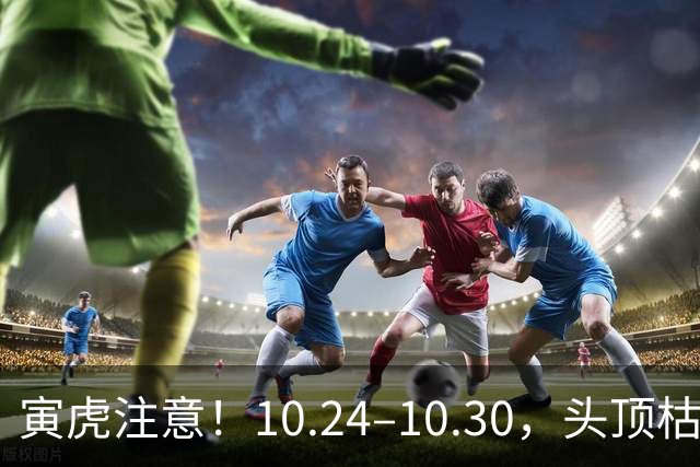 寅虎注意！10.24–10.30，头顶枯藤将断，有贵人伸手拉你一把