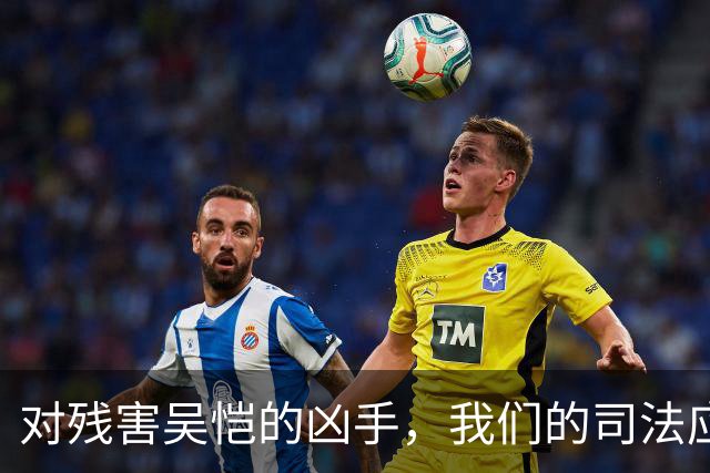 对残害吴恺的凶手，我们的司法应果断亮剑、坚决严惩！