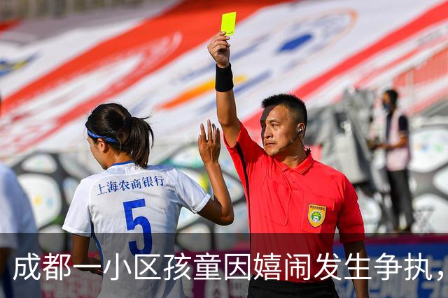 成都一小区孩童因嬉闹发生争执，一方家长摇人持钢管围殴，3人被行拘