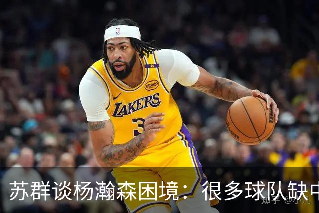 苏群谈杨瀚森困境：很多球队缺中锋 但缺的不是备胎而是实战轮换